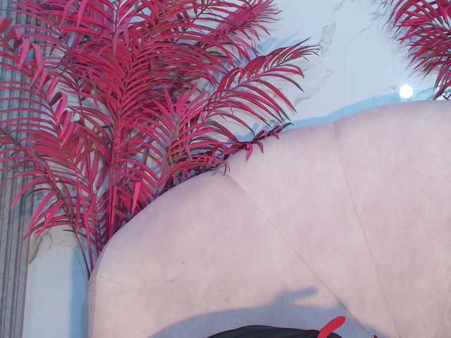 LizzyRaven live cam on BongaCams
