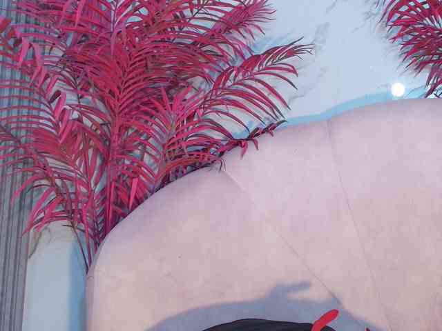 LizzyRaven webcam