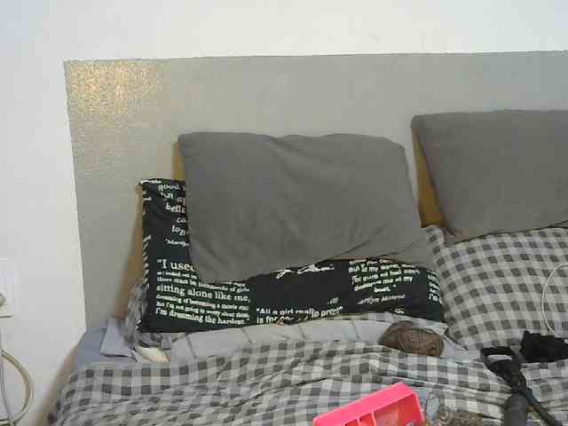 NixandD webcam