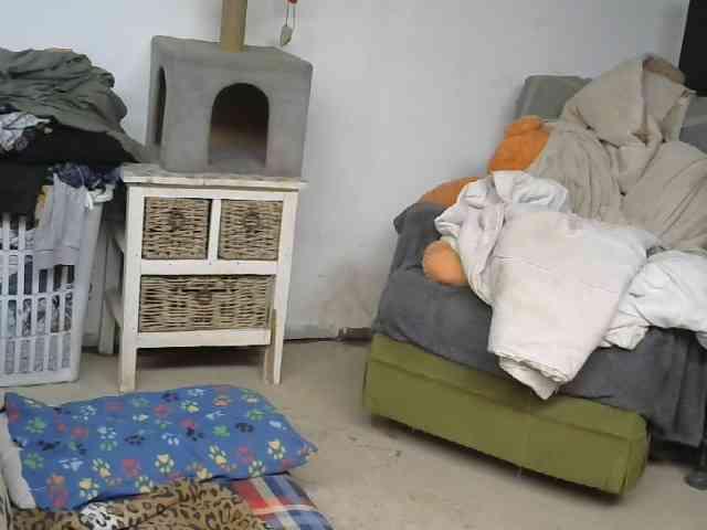 NixandD webcam