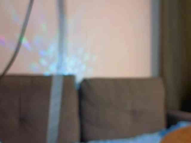 MelissaStarling webcam