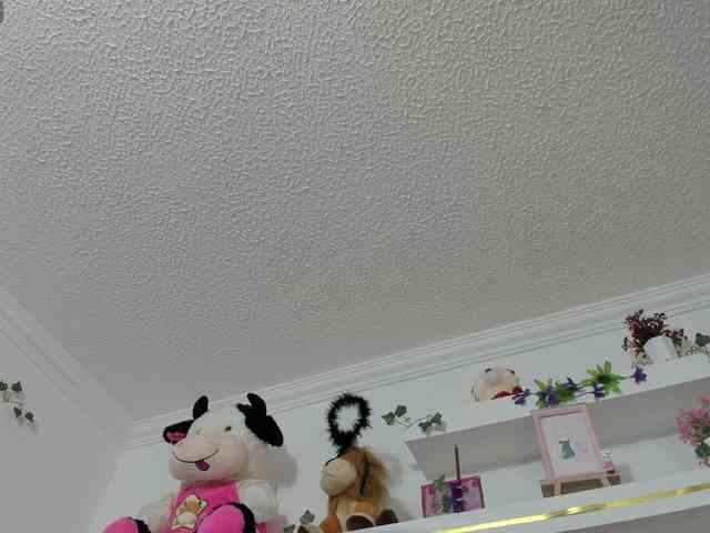luciatemptation webcam