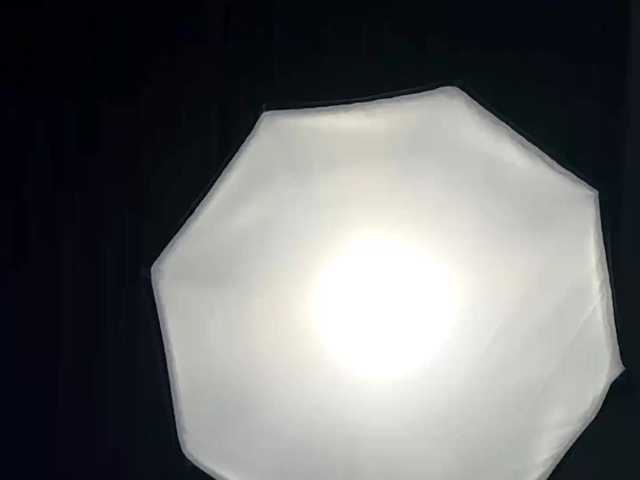 LyndseyShinkle