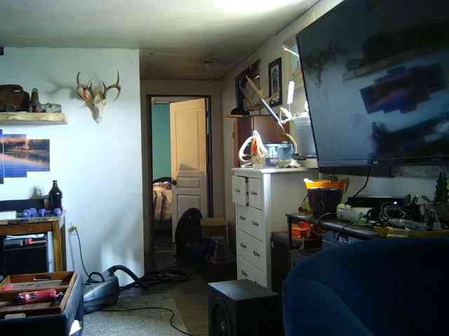 cutiekayls webcam