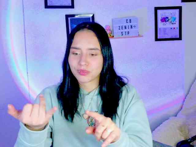Zeninn webcam