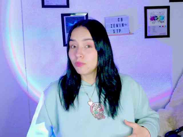 Zeninn webcam