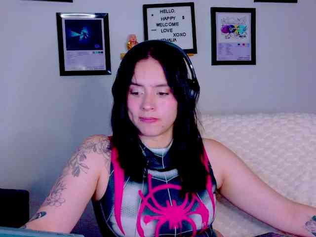 Zeninn webcam