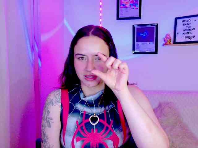 Zeninn webcam