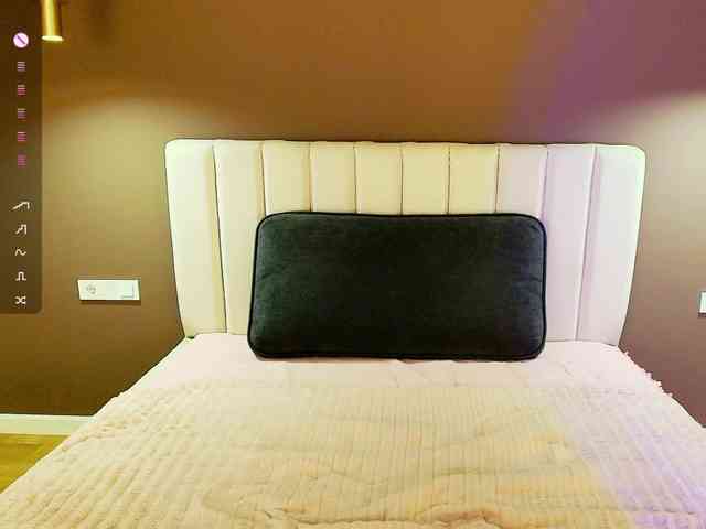 dixixii webcam
