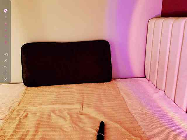 dixixii webcam