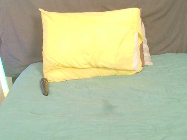 SpicedDove live cam on BongaCams