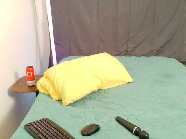 SpicedDove live cam preview