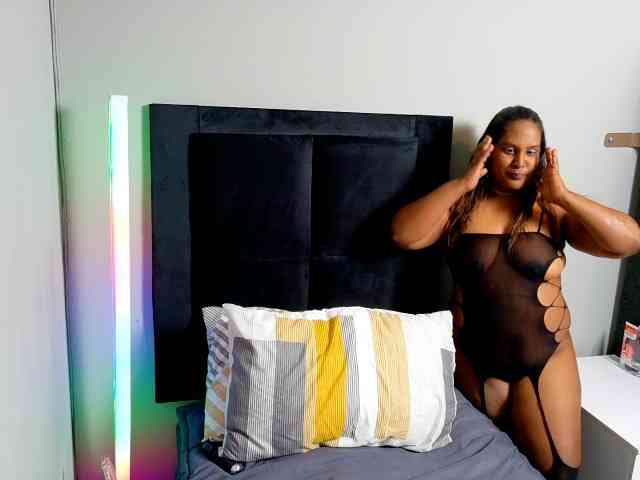SpicedDove webcam