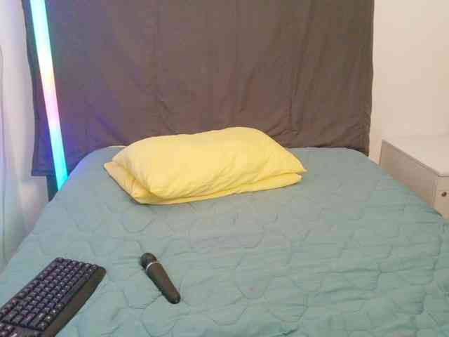 SpicedDove webcam
