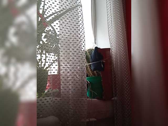 TvoyaMechtaAK47