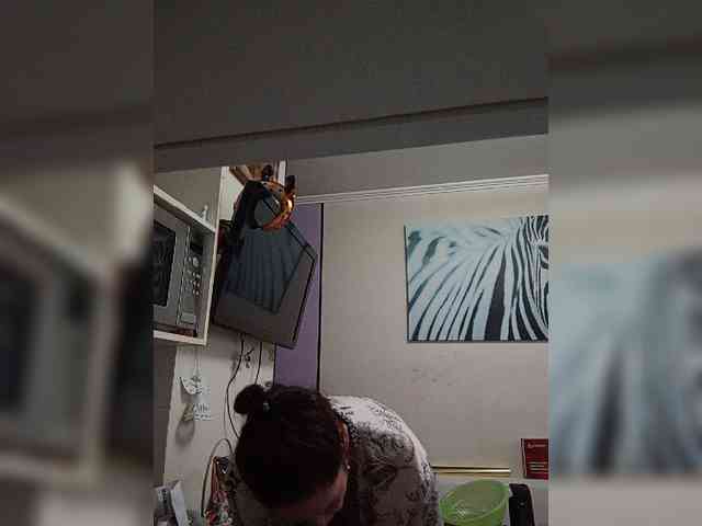 TvoyaMechtaAK47 webcam