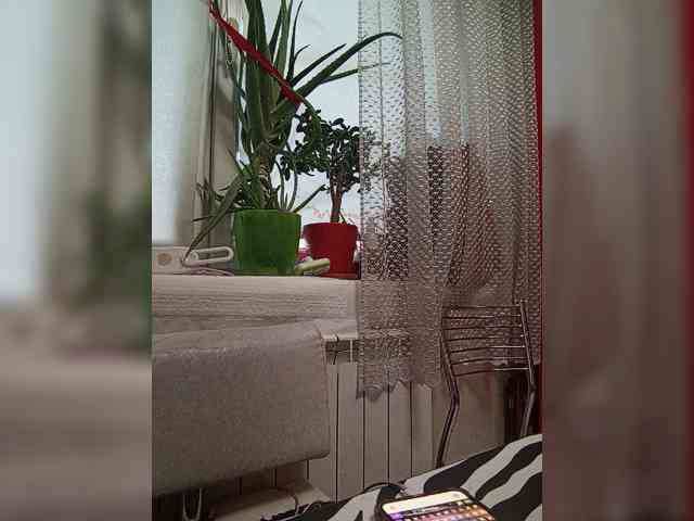 TvoyaMechtaAK47 webcam
