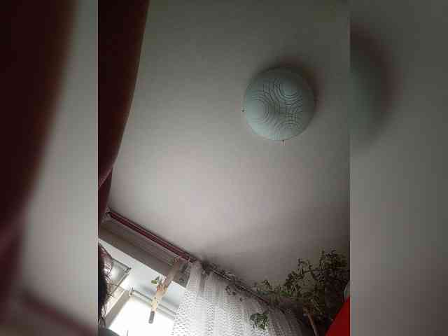 TvoyaMechtaAK47 webcam