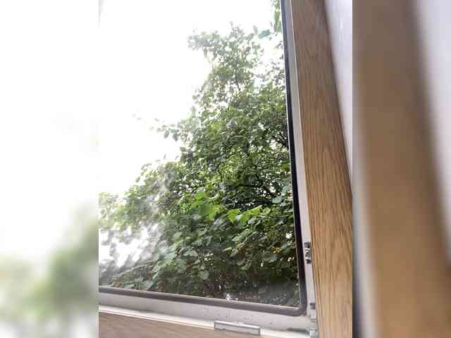 TvoyaMechtaAK47 webcam