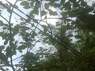 lyna23 Porn Show