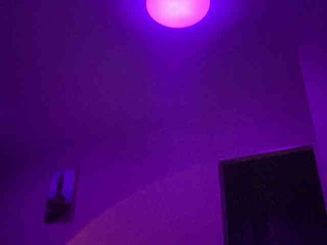 LadyInfinity webcam