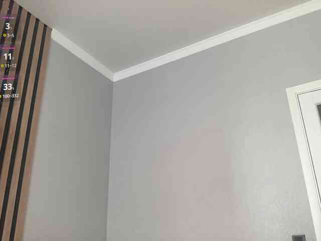 m1stybunny webcam