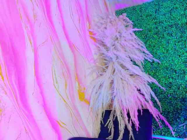 leo-torress