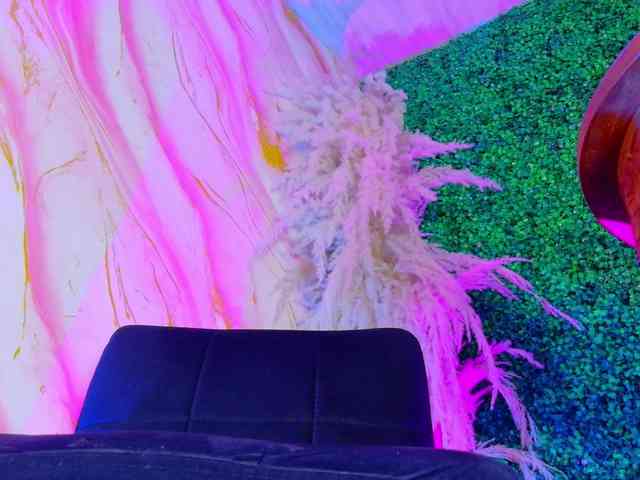 leo-torress