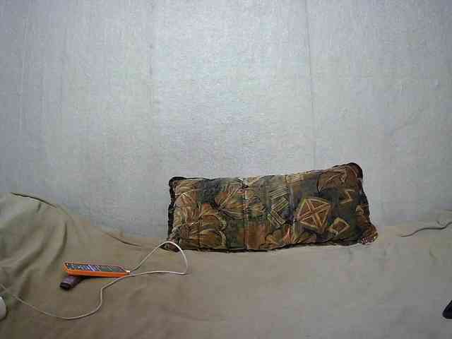 k1tty1ce webcam