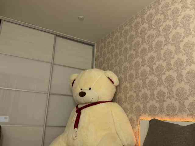 Honey-Trapp webcam