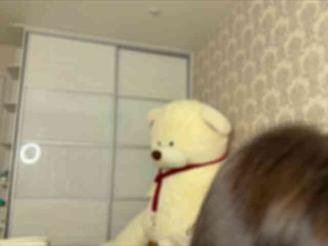 Honey-Trapp webcam