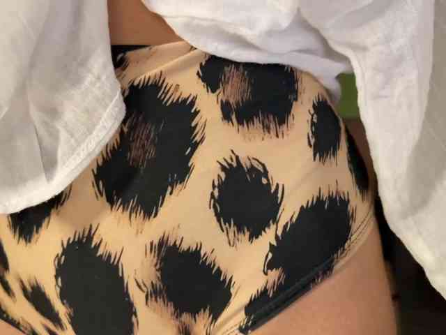 Honey-Trapp webcam