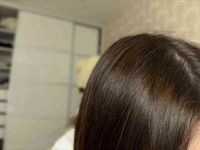 Honey-Trapp webcam