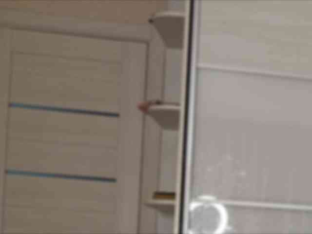 Honey-Trapp webcam