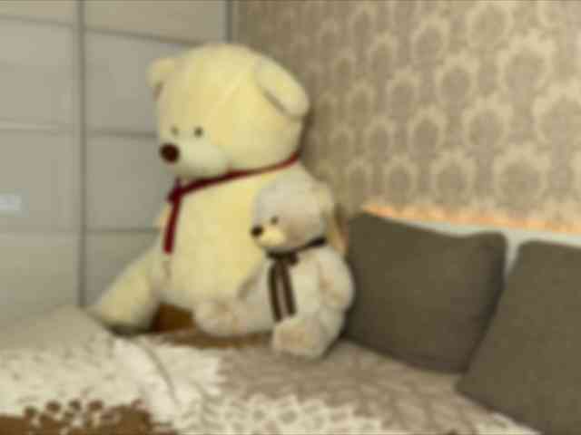 Honey-Trapp webcam