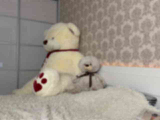 Honey-Trapp webcam