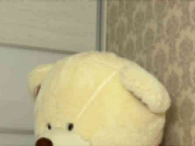 Honey-Trapp webcam
