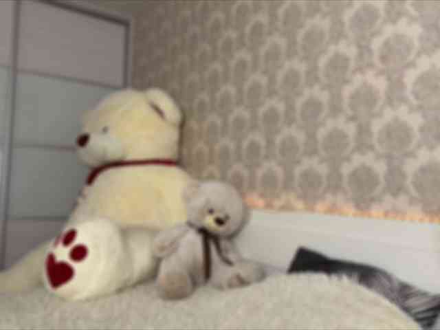 Honey-Trapp webcam