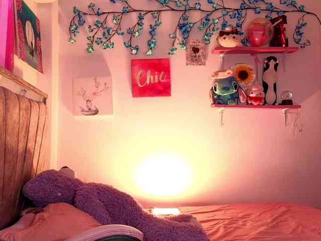 daniabet webcam