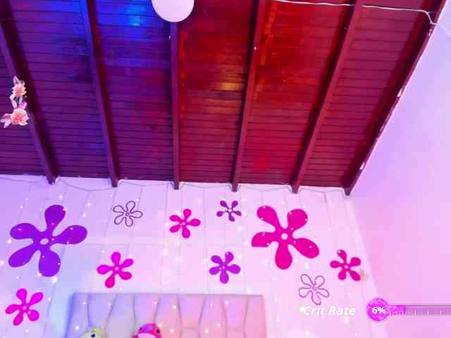 Tinyrose webcam