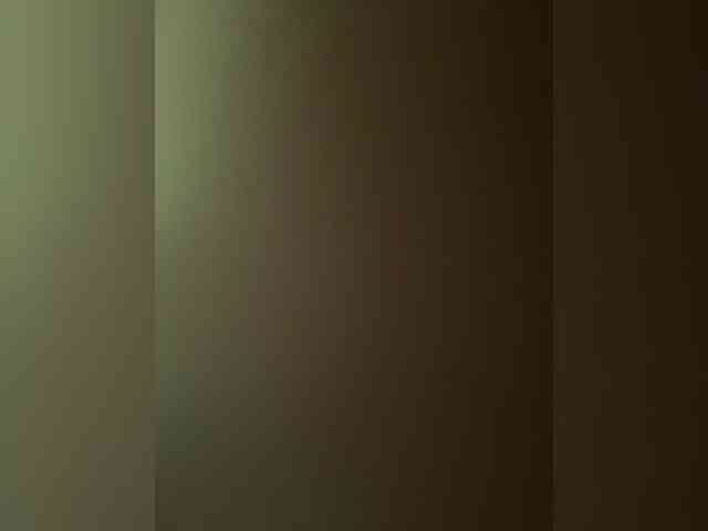 AleXXX24-1