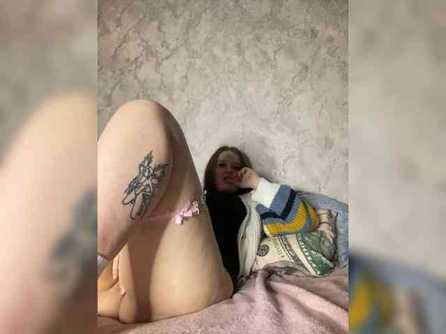 An_fisik webcam