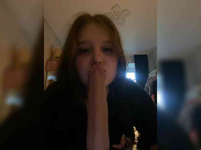 An_fisik webcam
