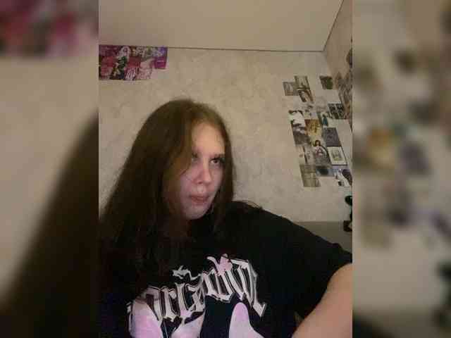 An_fisik webcam