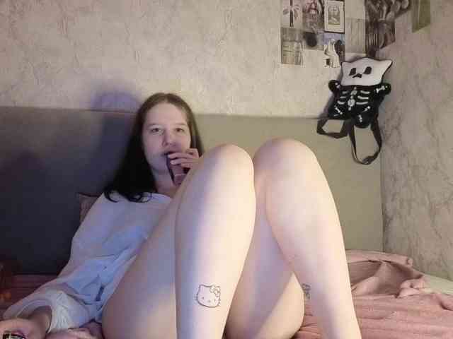 An_fisik webcam