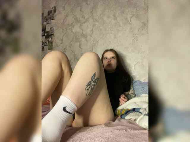 An_fisik webcam