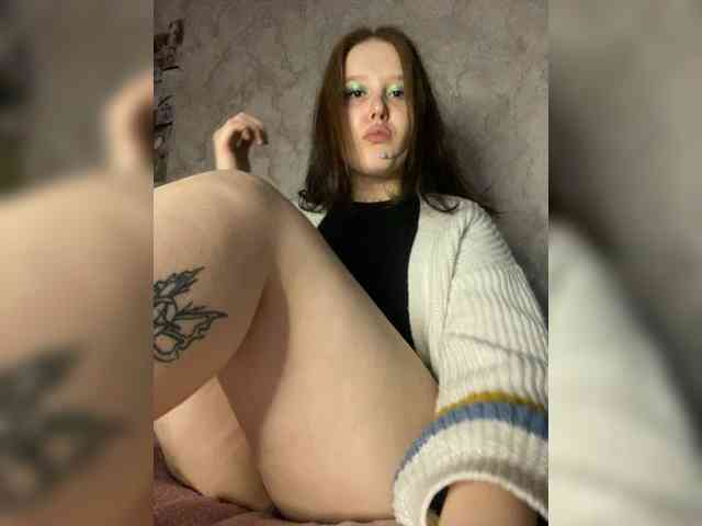 An_fisik webcam