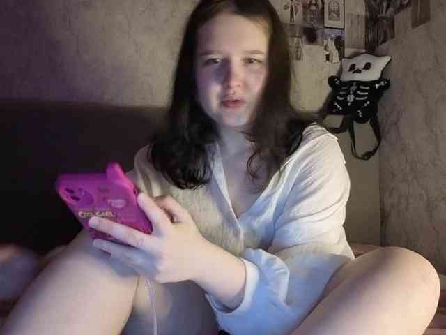 An_fisik webcam