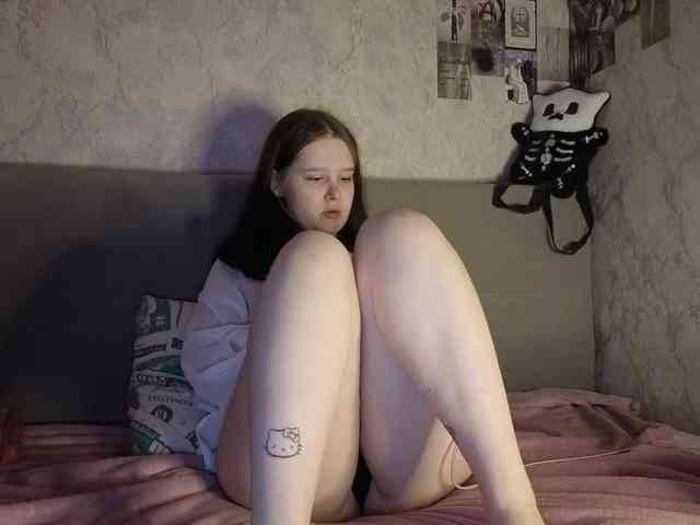 An_fisik webcam