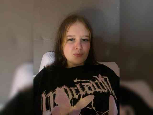 An_fisik webcam